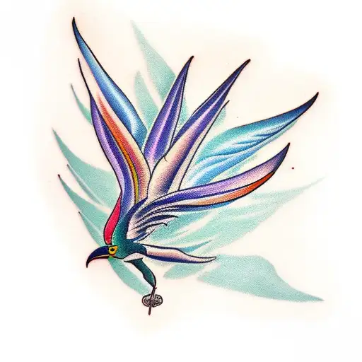 Bird Of Paradise