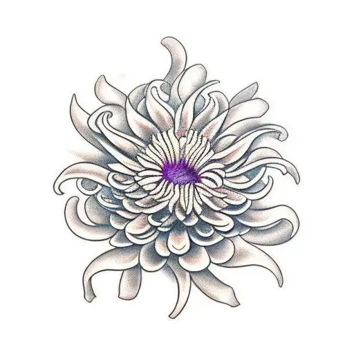 Chrysanthemum Medusa