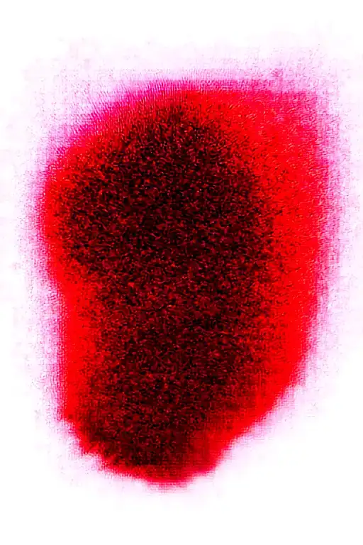 Dragon And Cherry Blossom Tree