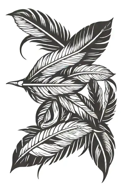 Native American Feathers