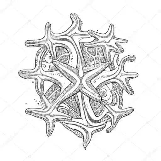 Sea Star And Sea Waves