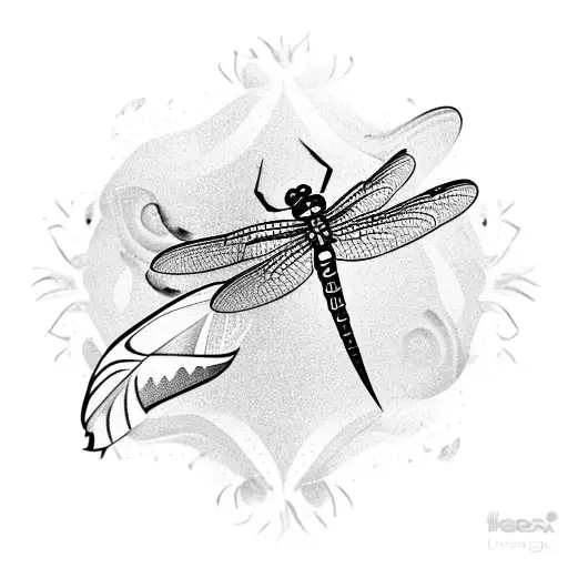 Dragonfly On Peacock Feather