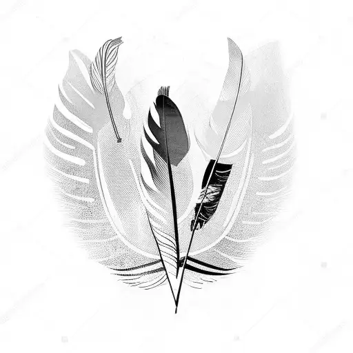 Feather Music Nature