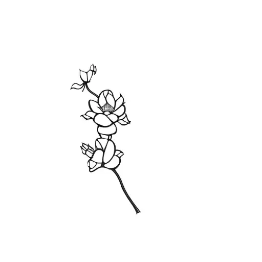 A Black Background With A Drawing Of A Flower