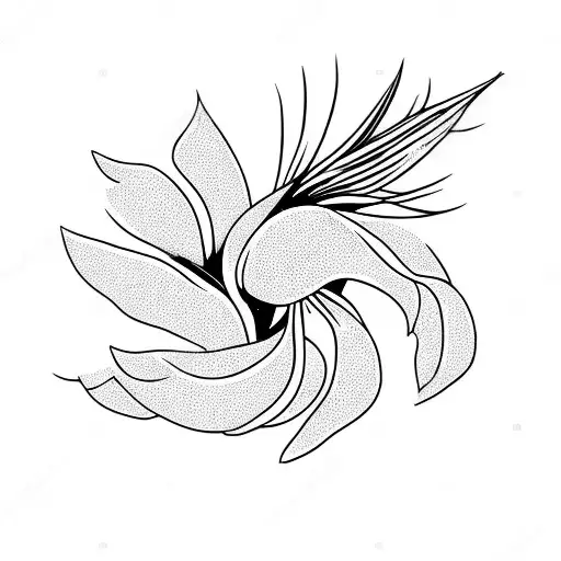 Bird Of Paradise And Cherry Blossoms