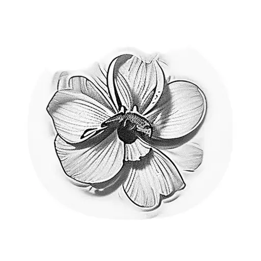 Small Daisy And Iris Flowers