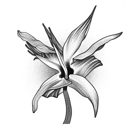 Bird Of Paradise And Hibiscus