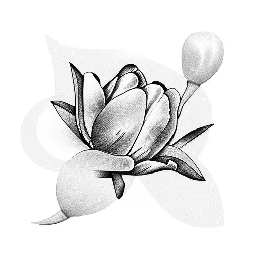 Black And White Tulips