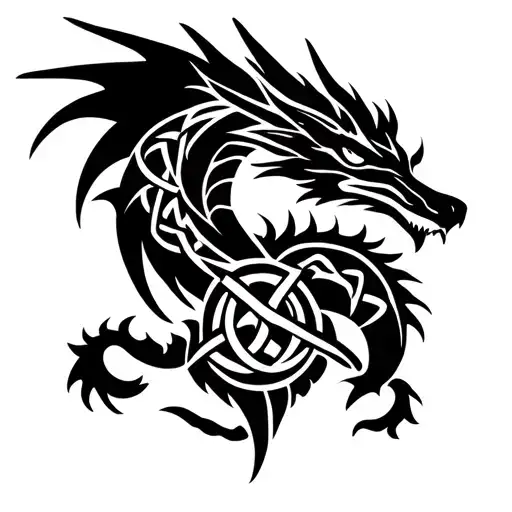 Celtic Dragon With Triquetra