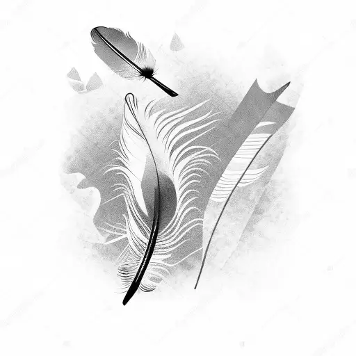 Feather And Birds