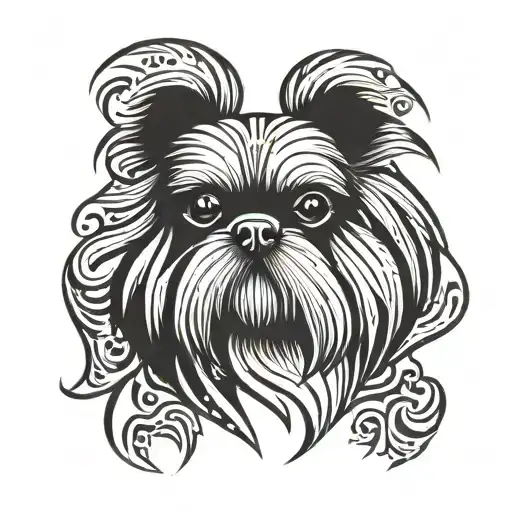 Shih-tzu Male Short Fur