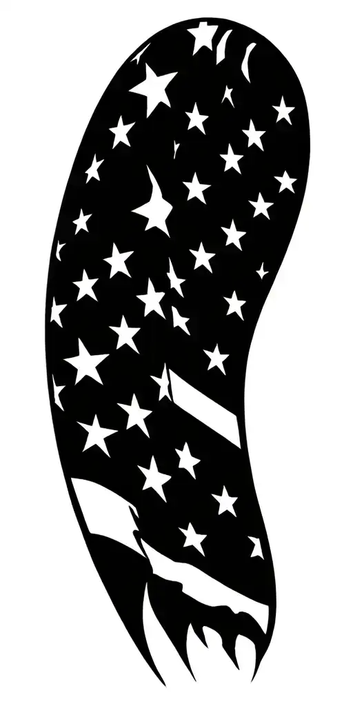 American Flag Waving And Tattered American Flag