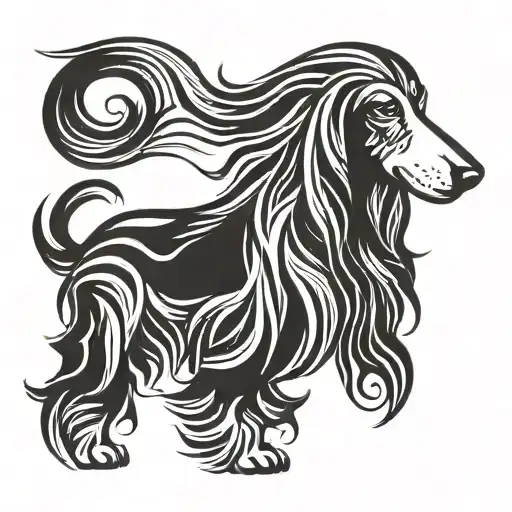 Afghan Hound Dog