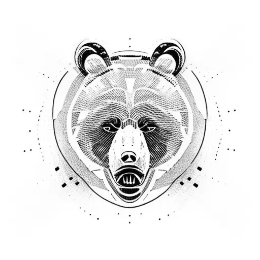 A Bear's Face Is Divided In Two On One Side An Adult Bear And On The Other A Bear Cub