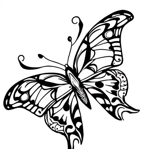 Butterfly