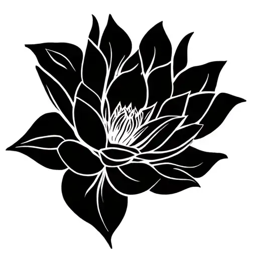 Lotus Flower Blooming
