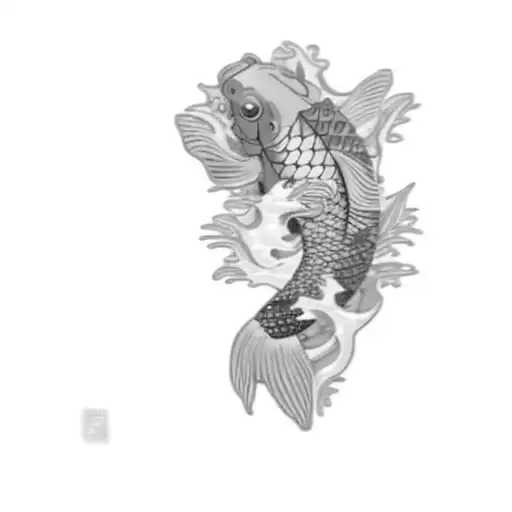 A Koi Fish