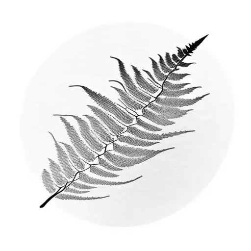 Fern Leaf