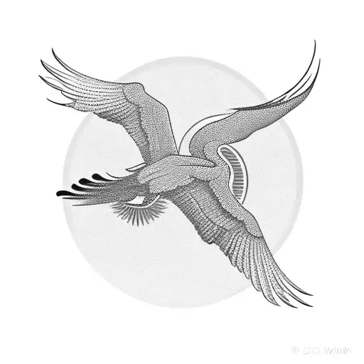 Crane Standing With Wings Spread With A Red Sun