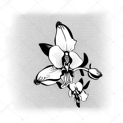 Paint Pencil And Orchid Flower