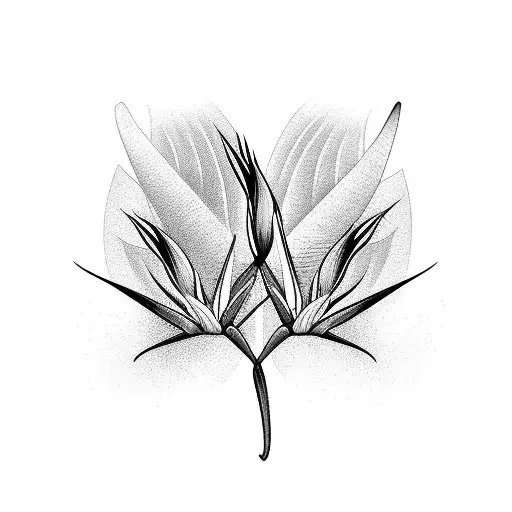 Bird Of Paradise Bird