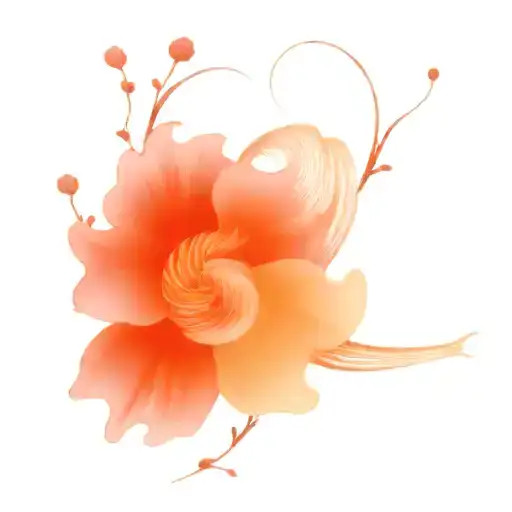 Spiral Koi Fish With Cherry Blossoms