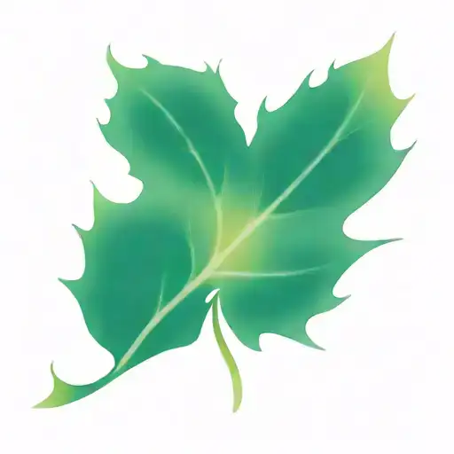 Phoenix Mapple Leaf