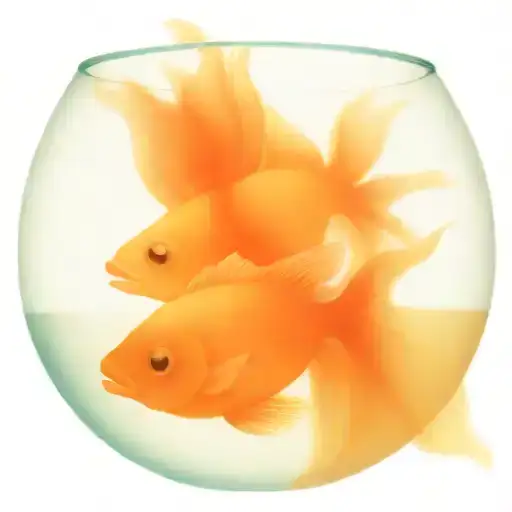 Two Lost Souls Swimming In A Fish Bowl