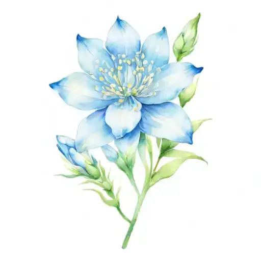 March April May July September October Birth Flower