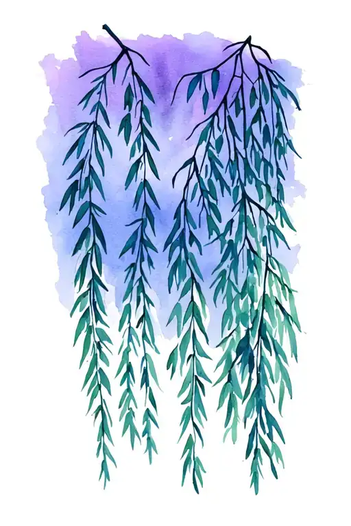 Weeping Willow Branches