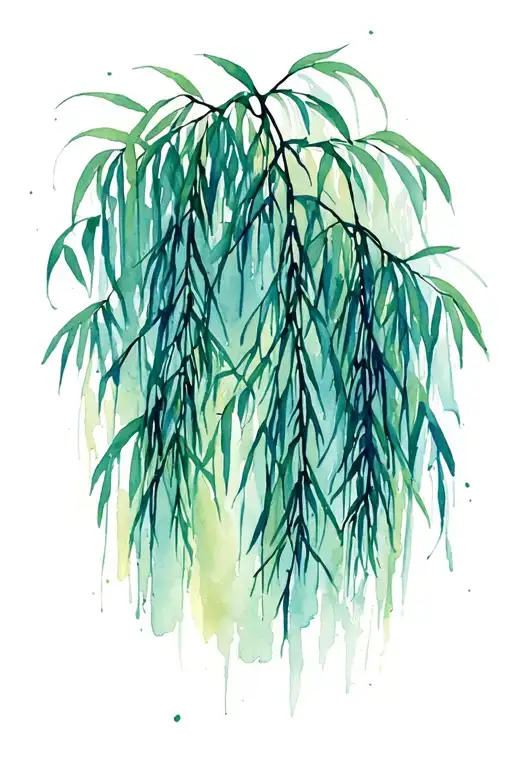 Weeping Willow Branches