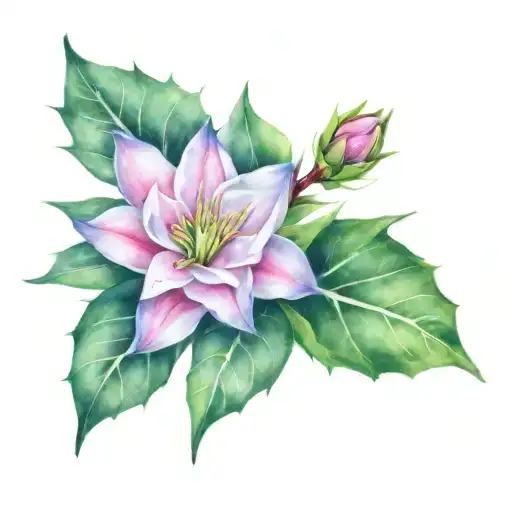 Crown Of Thorns Flower Intertwined