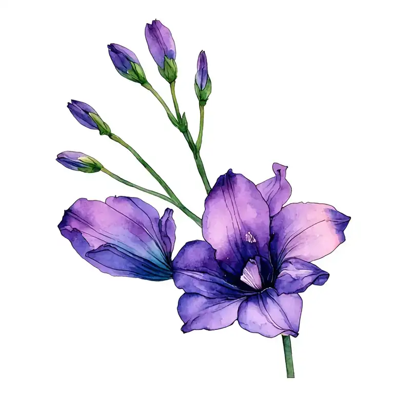 Delicate Single Purple Gladiolus Flower Tiny