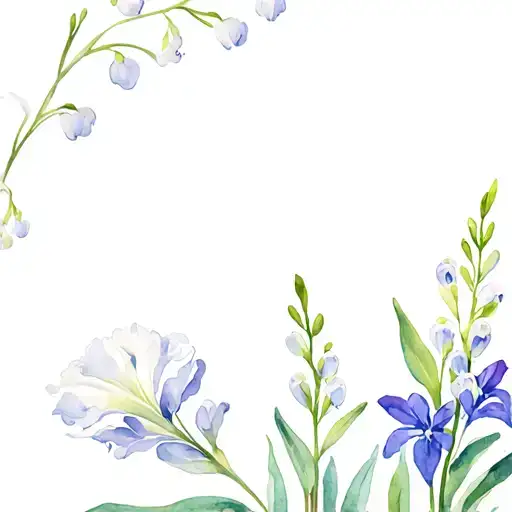 Gladiolus Poppy Larkspur Lily Of The Valley