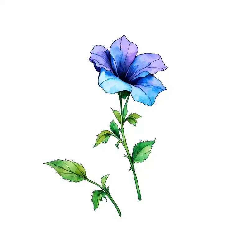 A Small Morning Glory Flower