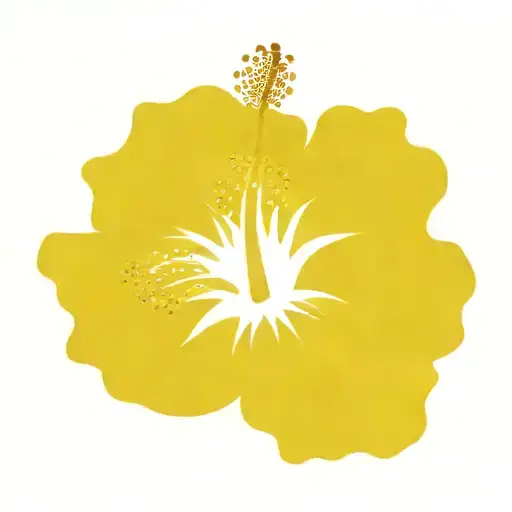 Hibiscus Without Leaf