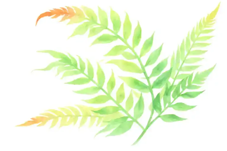 Fern Leaves That Are On Fire Flames