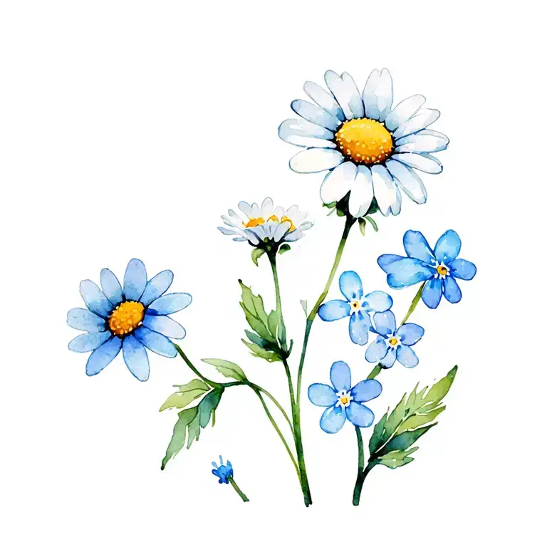 Daisies And Forget Me Not Flowers