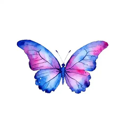 Butterfly In Color