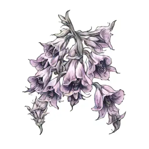 Sleek Minimal Line Art Foxglove