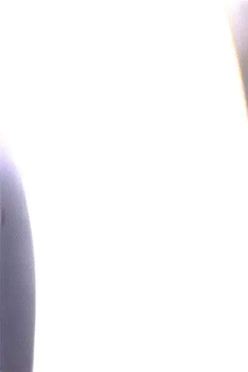 Forest Vines And Roses