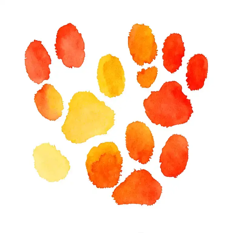 Paw Prints