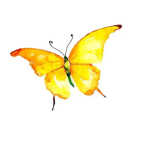 Yellow Butterfly With A Humming Bird