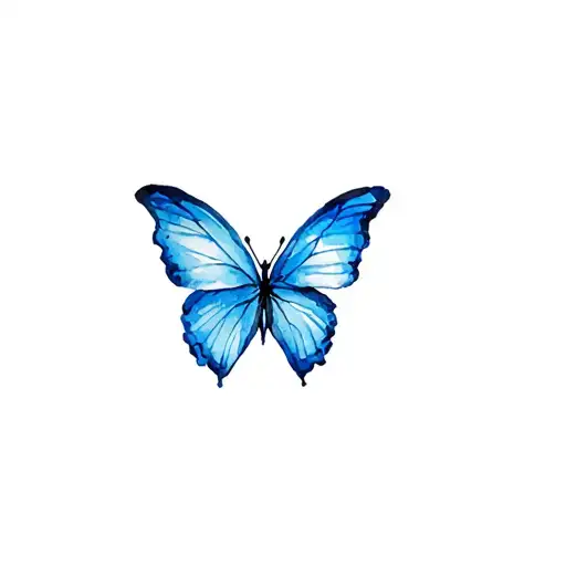 Blue Butterfly