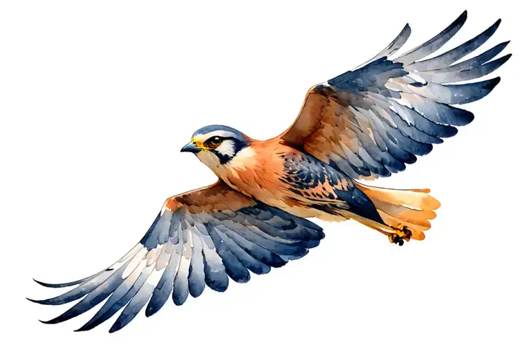 Kestrel Soaring