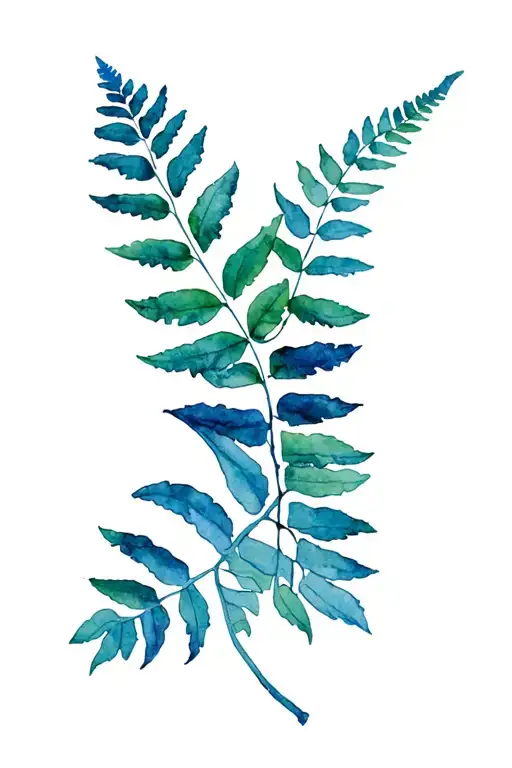 Maori Fern Leaf And New Zealand Outling