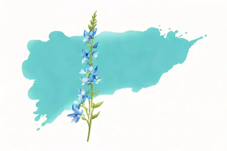 Larkspur Flowers