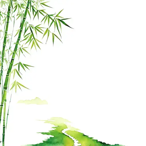 Bamboo Forest With A Path