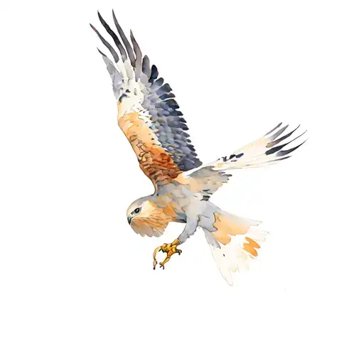 Red Kite