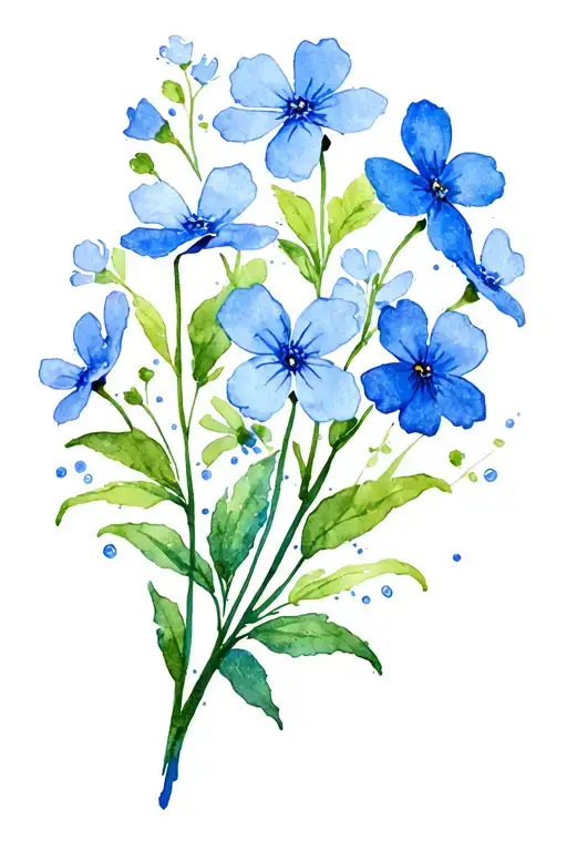 Forget Me Not Flowers Blooming